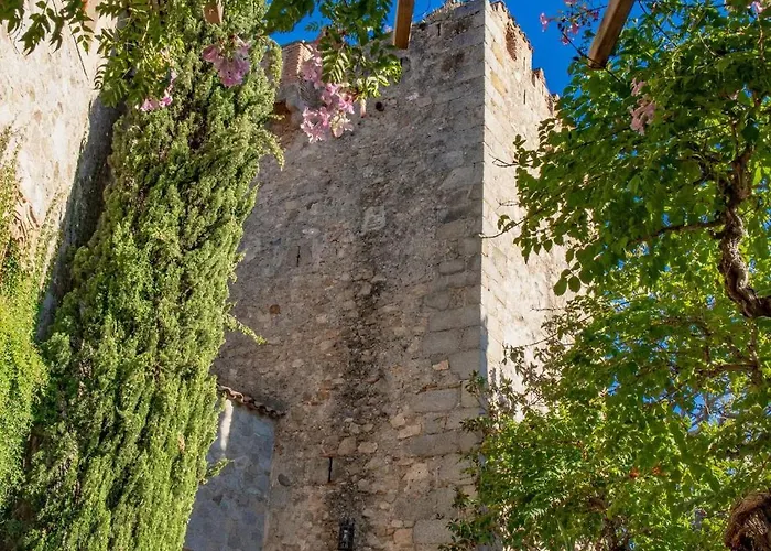 Castillo Meng Vila *